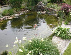 Gartenbau Allmer - Wasser 04